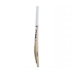 GM Icon Premier Kashmir Willow Cricket Bat